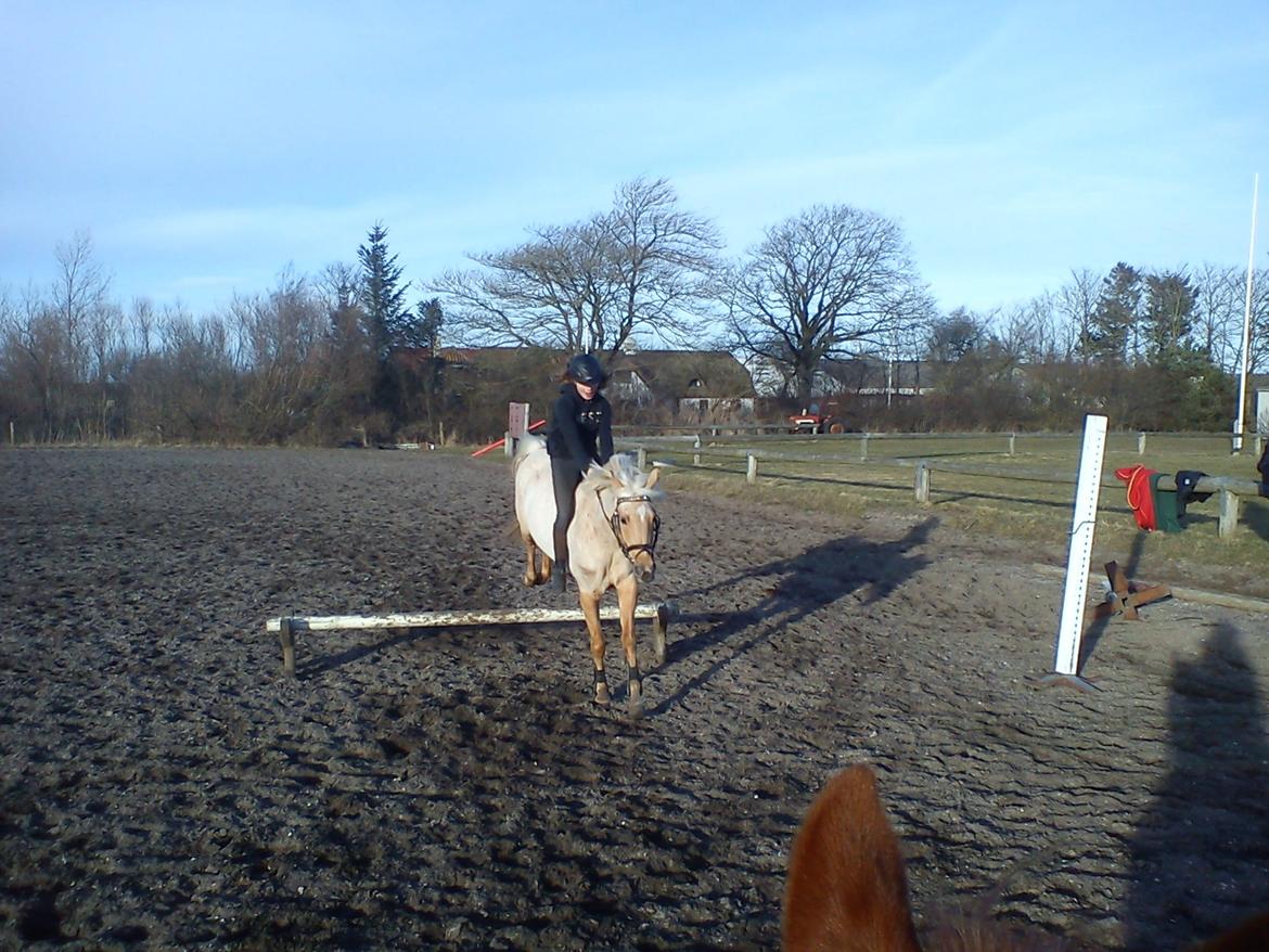 Anden særlig race Gloria (SOLGT) - Hygge med stjernen!<3 billede 27