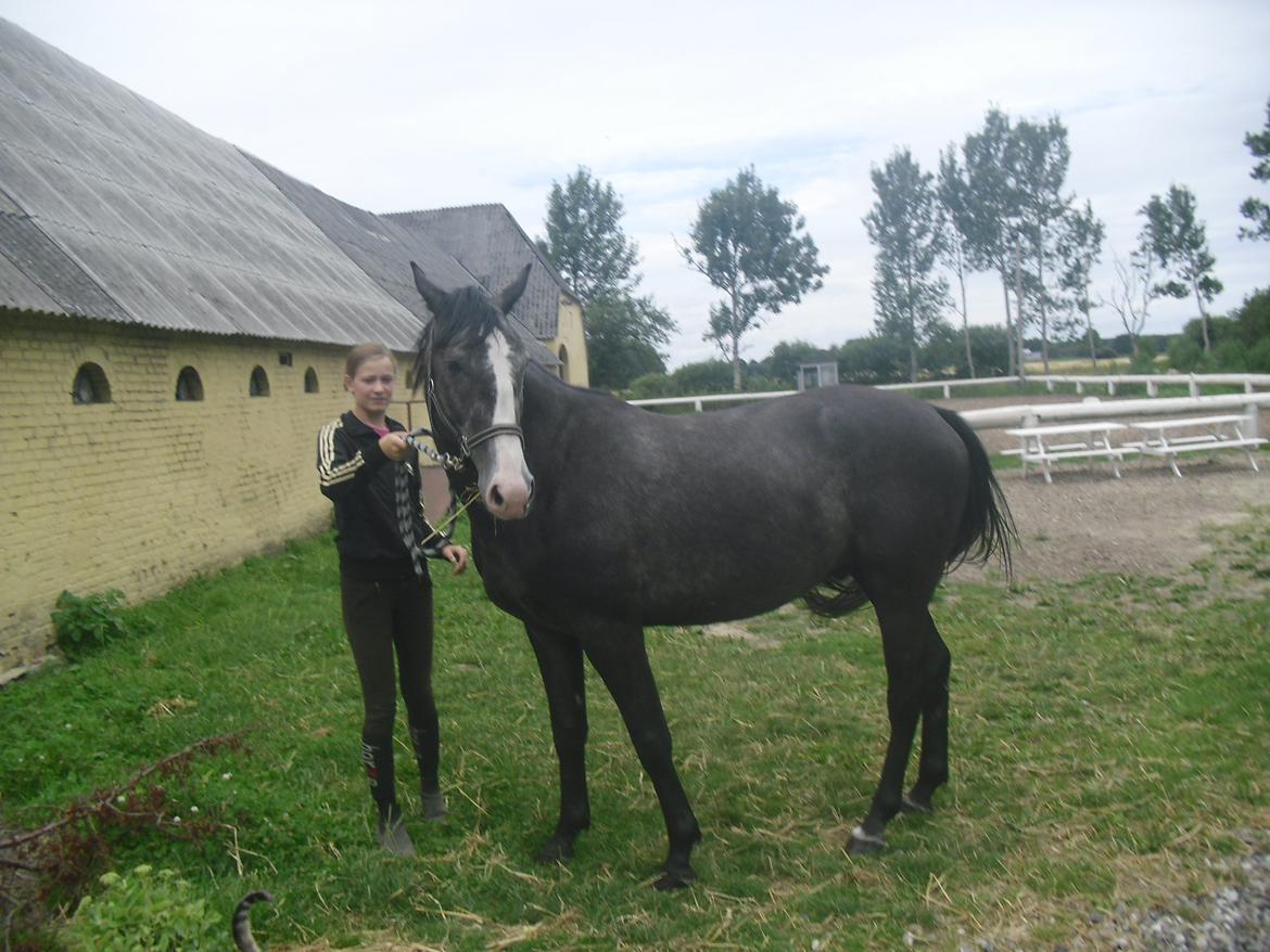 Anden særlig race Bønderskovgård´s Argument *RIP* billede 20