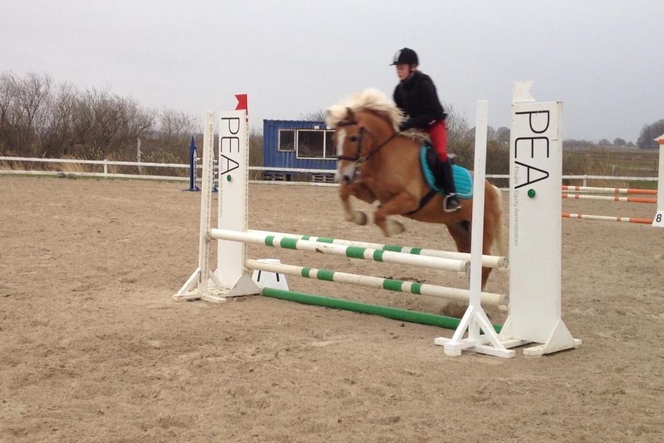 Haflinger Sissi - Springtræning på onsdagsholdet:-) billede 27
