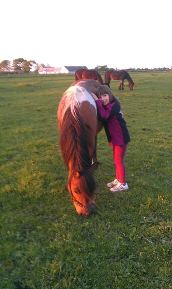 Anden særlig race Cesse (jenny) billede 1