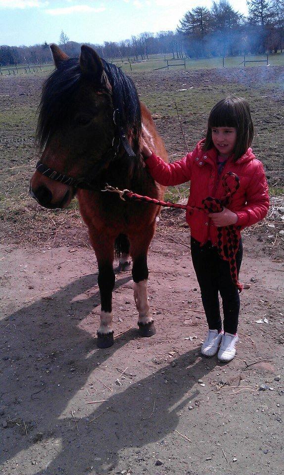 Anden særlig race Cesse (jenny) billede 4
