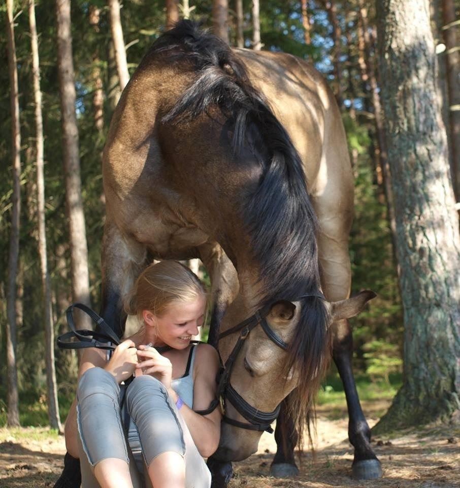 DSP Jægersborgs Mr. Darcy billede 15