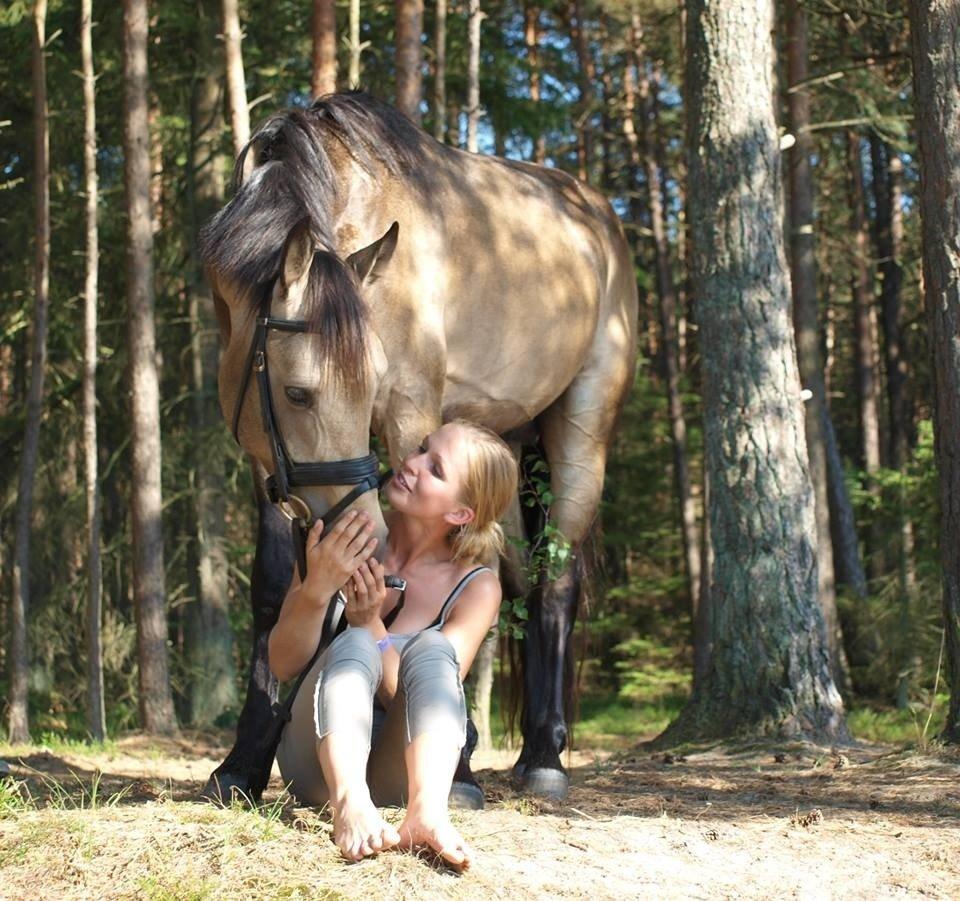 DSP Jægersborgs Mr. Darcy billede 17