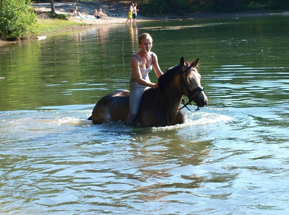 DSP Jægersborgs Mr. Darcy billede 19