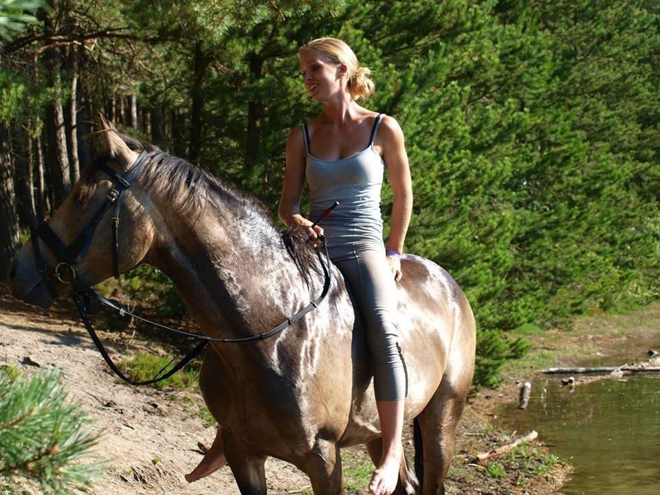 DSP Jægersborgs Mr. Darcy billede 20