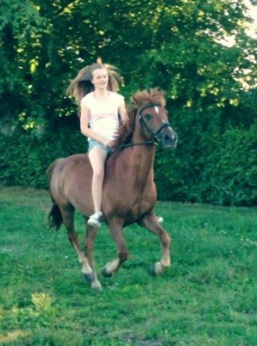 Tysk Sportspony Gizmo billede 10