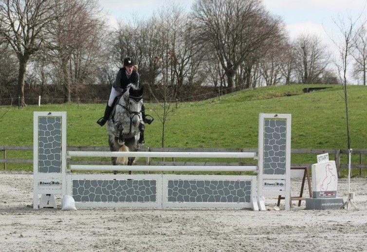 Dansk Varmblod Nicolina Lille Lunden - Riders cup 2013 billede 17