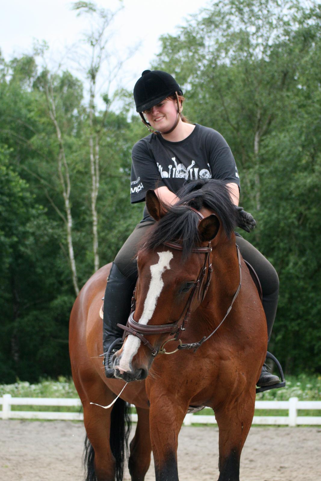 Dansk Varmblod Bøgegårdens "aladin" - Savl über alles :* Foto: Julie Clasen billede 17