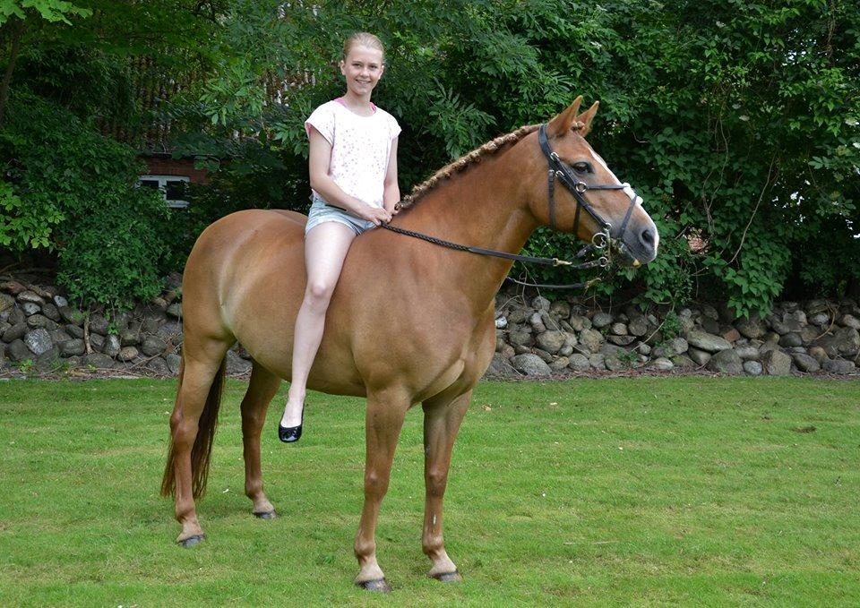 New Forest Engdalens Wendy - min bedste ven <3 - Fotoshoot med skatten / Jeanettes ridelejr Foto: ? billede 26