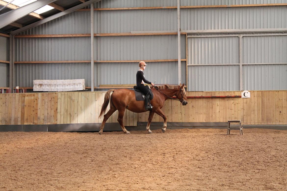 Oldenborg Møllevangs Menja billede 4