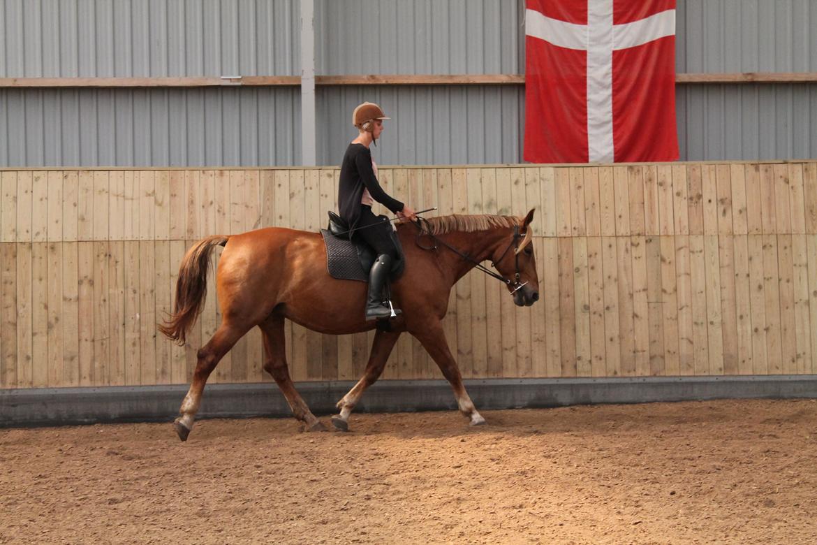 Oldenborg Møllevangs Menja billede 5