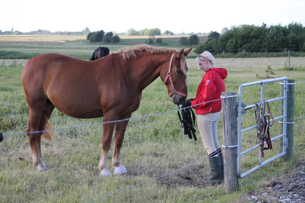 Oldenborg Møllevangs Menja billede 7