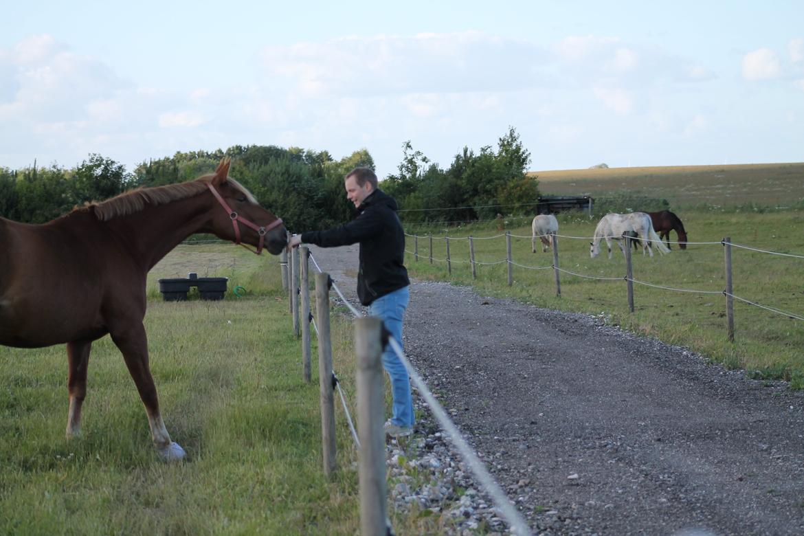 Oldenborg Møllevangs Menja billede 12
