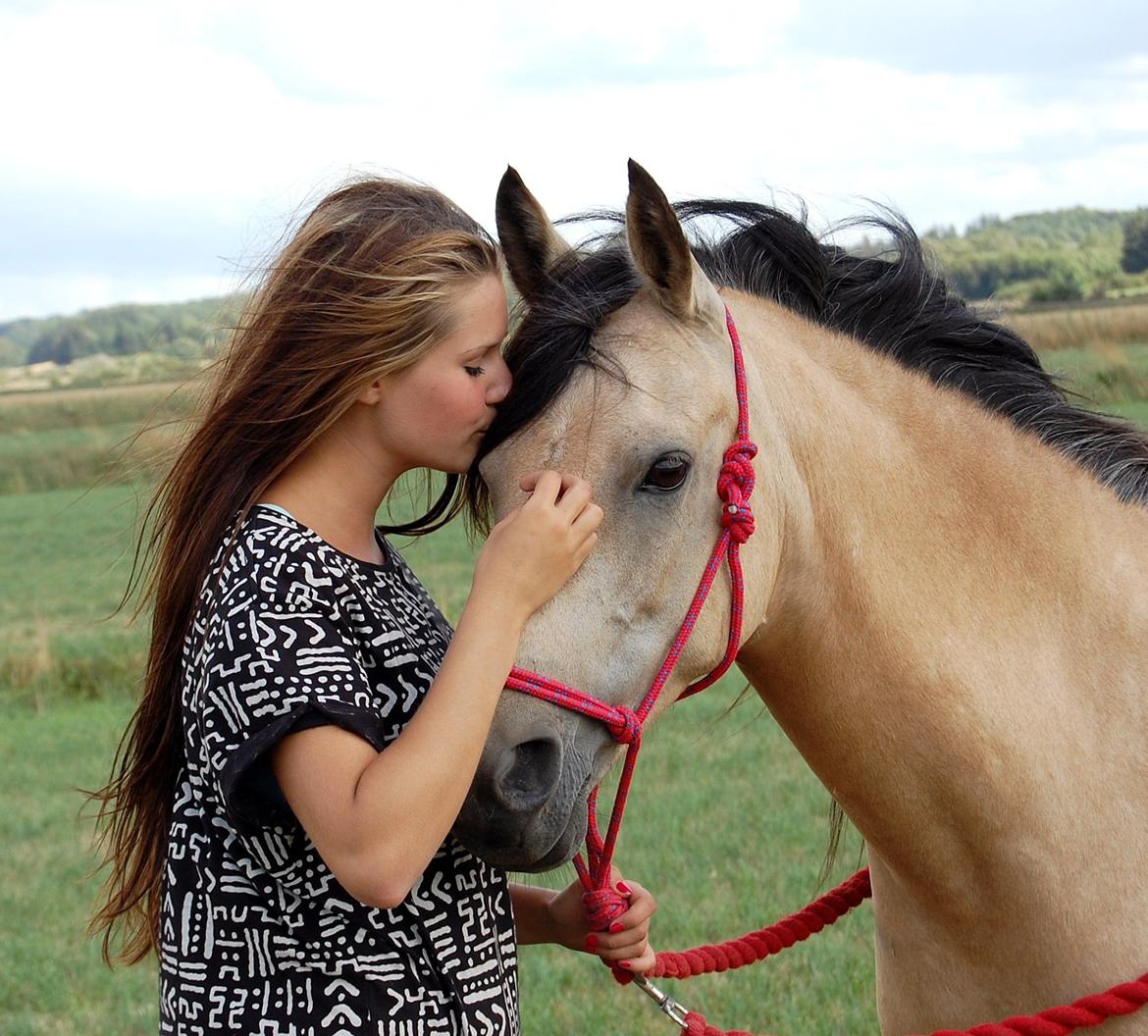 Anden særlig race Shanon B-pony - En af de sidste dage med min skat  billede 21