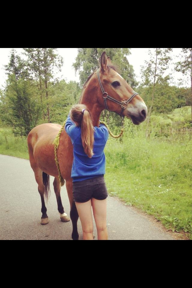 Anden særlig race Lester - Jeg ville ønske at jeg aldrig behøvede at give slip <3 billede 3