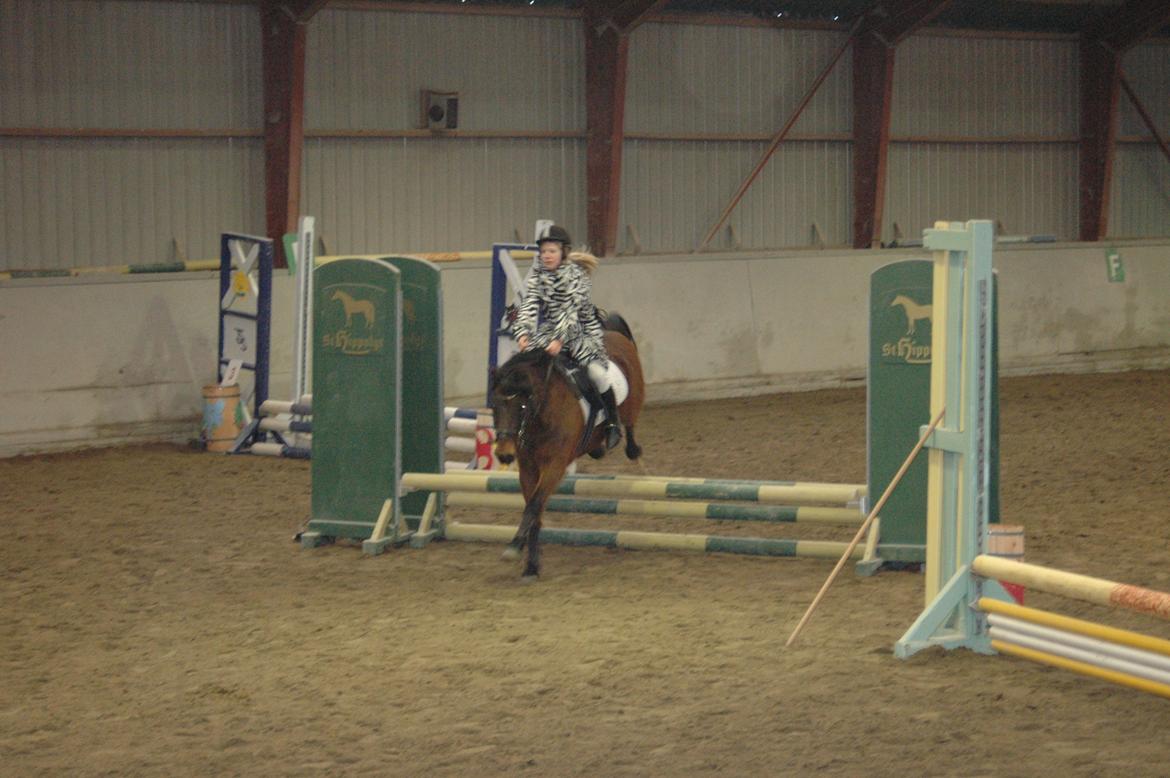 Anden særlig race Joker - ...Og igen... billede 15