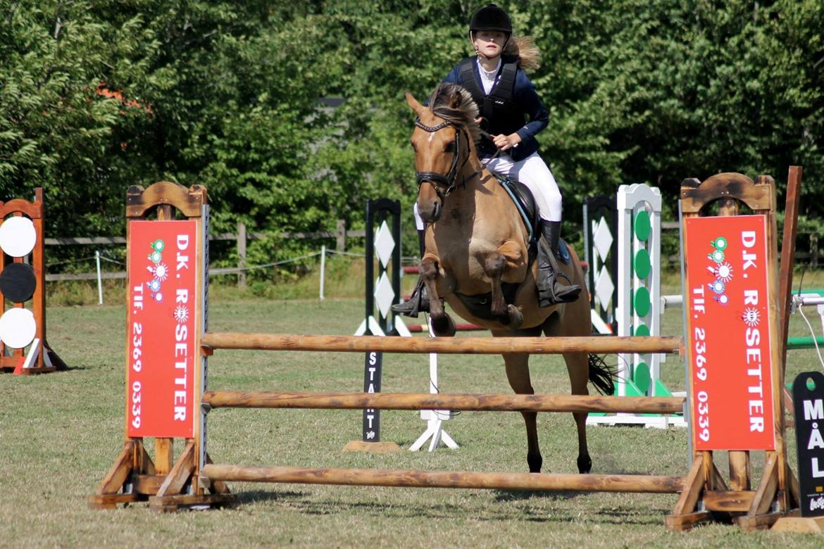 Anden særlig race Luna  - Første LA! :D

Foto: Baun Photo billede 3