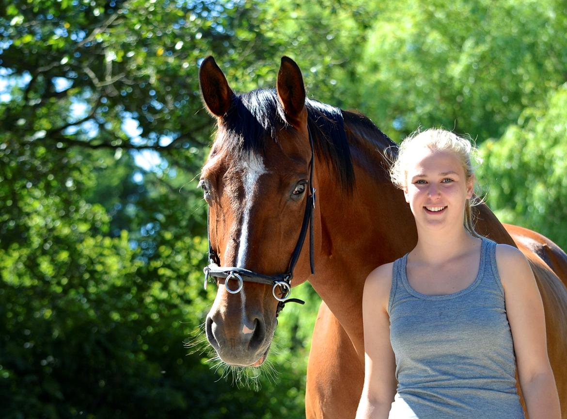 Dansk Varmblod Akeleje<3 With a heart of gold<3 - se skal ud er nu det bedste :)
 billede 10