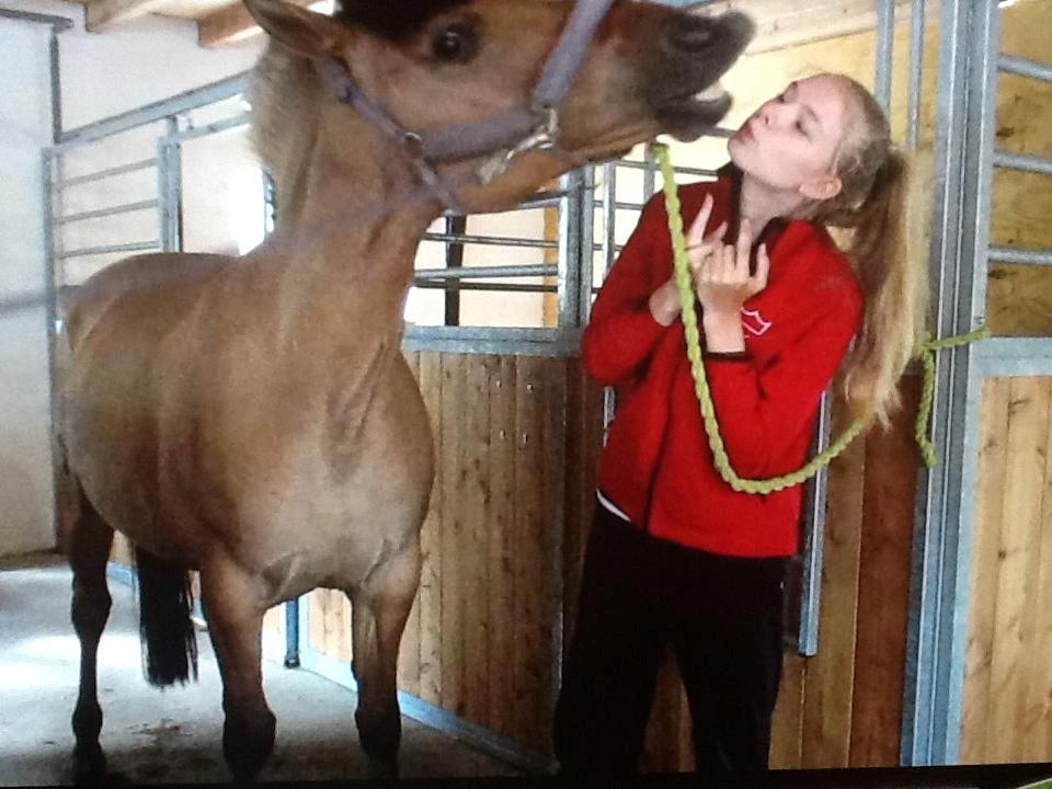 Anden særlig race Luna  - Århhh dejlige pony! <3 billede 14