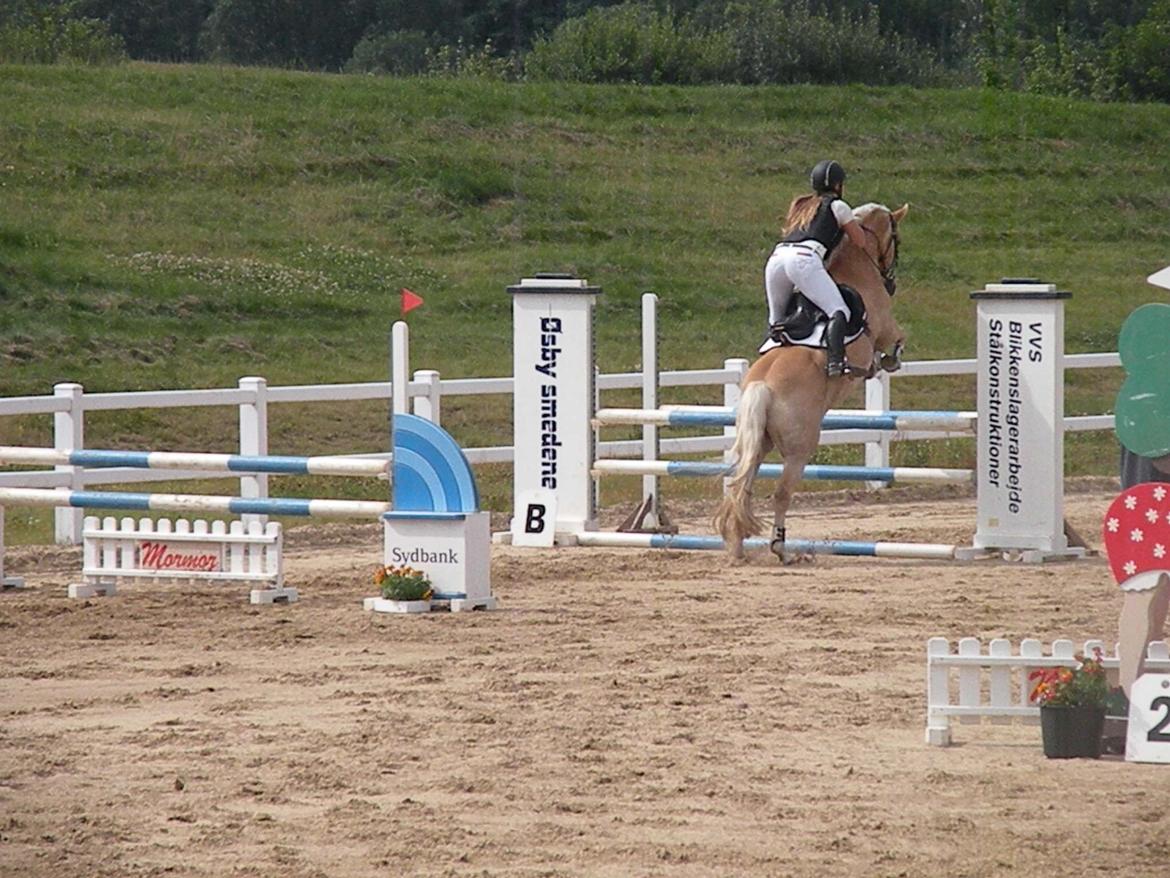 Haflinger Nyegaards Nascha - LA* i omspringning til LB*, falder af da vi lander.. 2. sidste spring.. billede 13