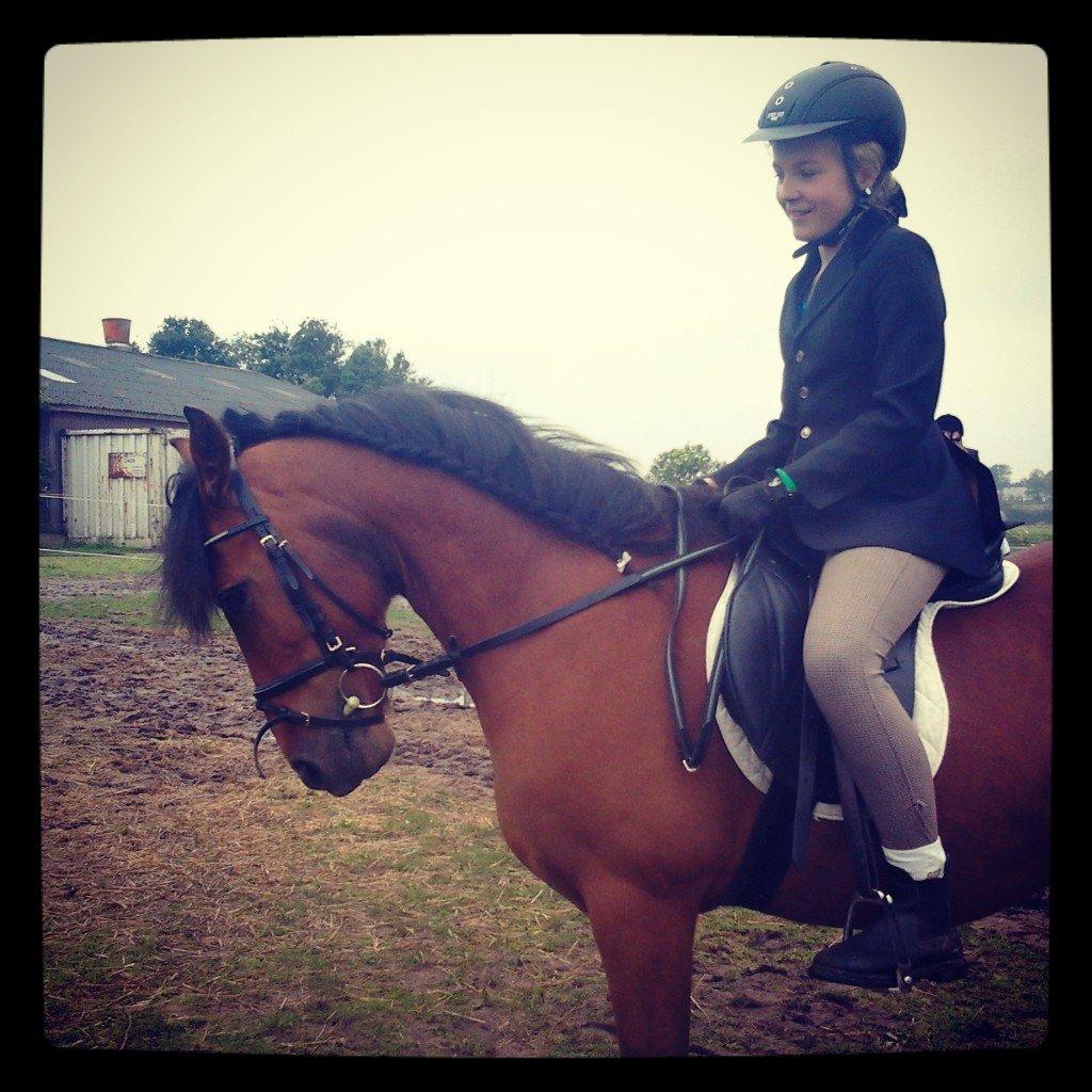 Anden særlig race Petanque - min elskede pony<3<3 billede 15