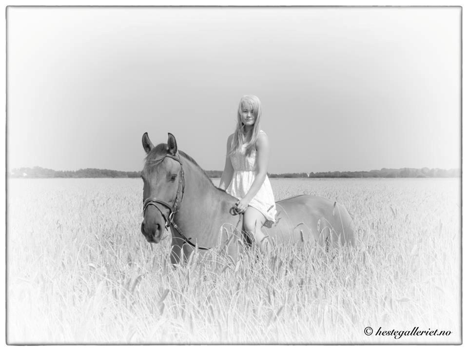 Anden særlig race RONALDO - Foto: Trond Pedersen billede 3