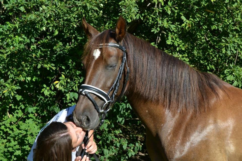 Anden særlig race Marielunds Faiht!<3 My Soulmate!<3 - Only you and me <3 billede 3