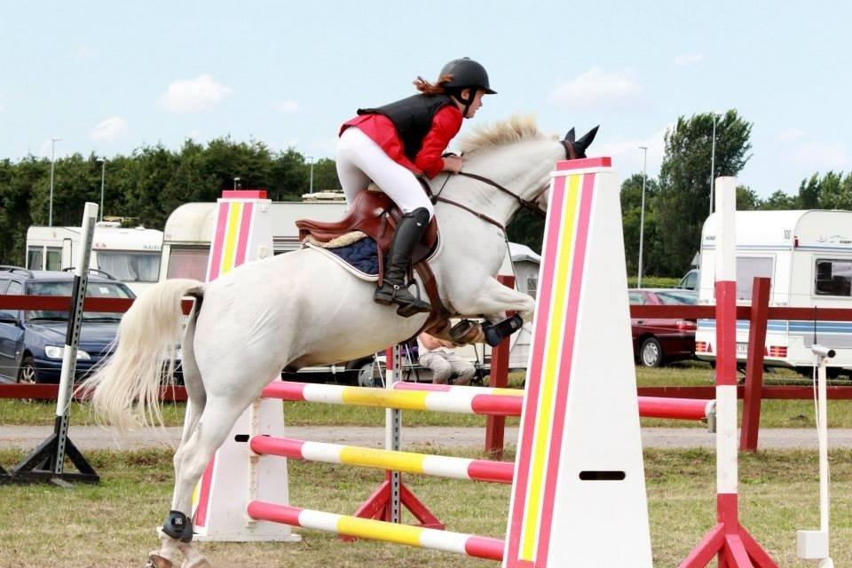 Anden særlig race Silver <3  - Ponyugen 2013, LB.  Foto: Maria Galmstrup  billede 13