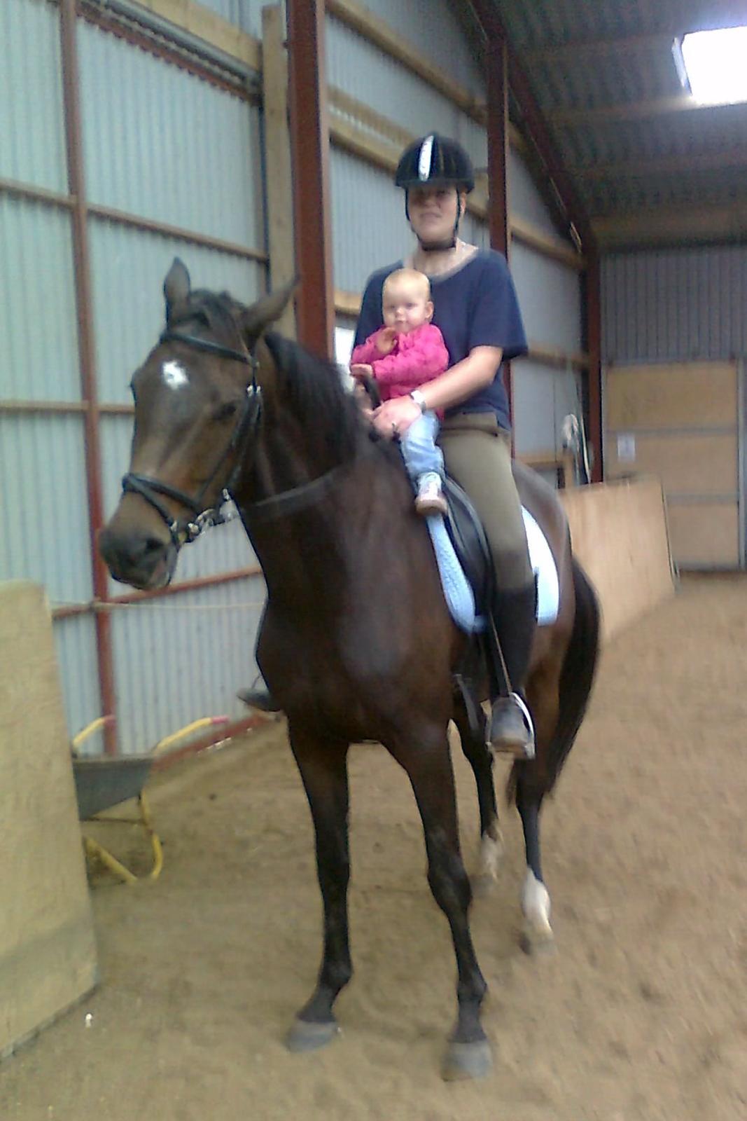 Holstener elona billede 3