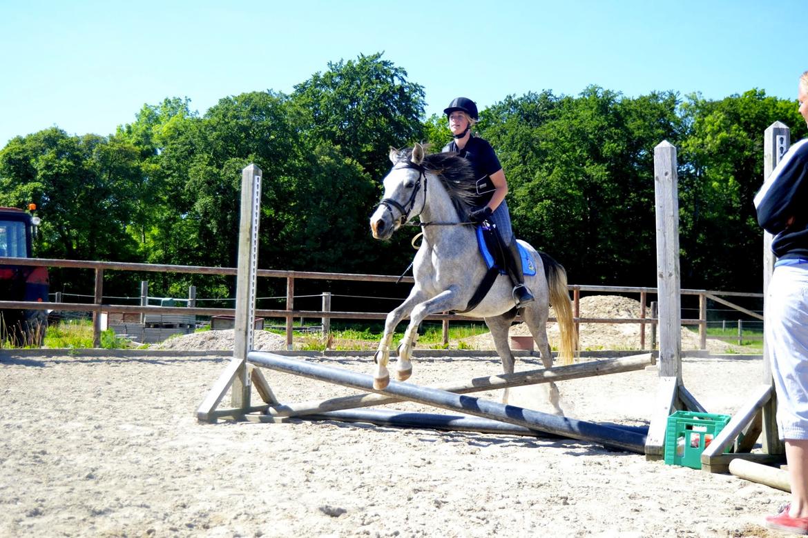 Anden særlig race Asgårds Frigg<3 billede 17