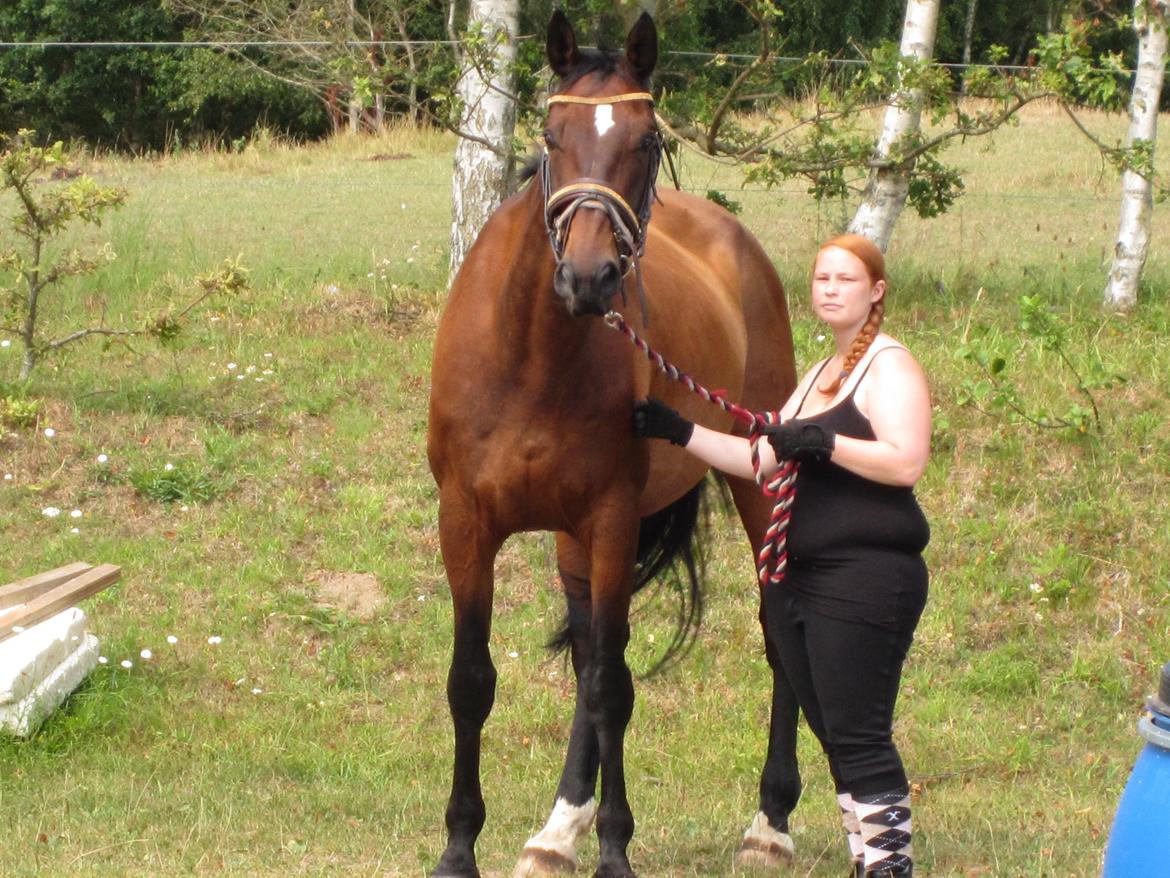 Dansk Varmblod SCHWANTE - D.04/08-2013 Min og min dejlige dreng, lige kommet ud af hestetraileren:) billede 15