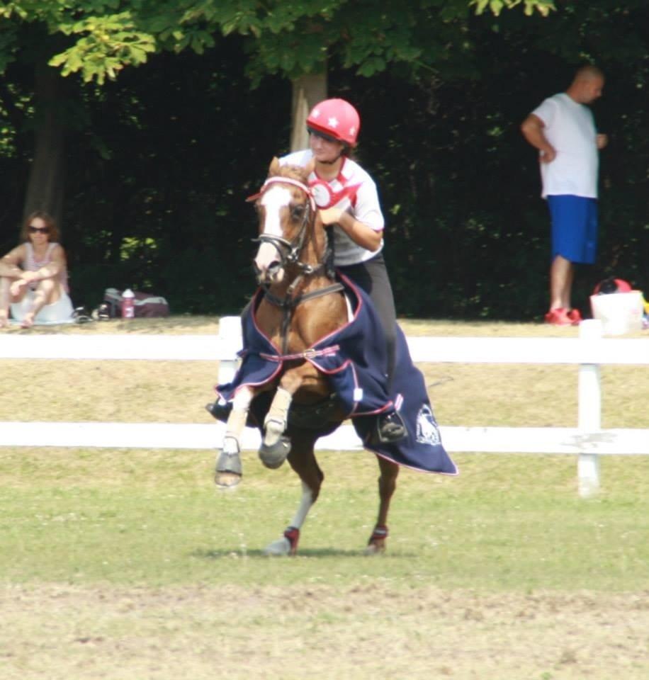 Anden særlig race Nikki - Vinder af B finalen til VM individuelle og sammenlagt nummer 9 - bedste pony <3 billede 1