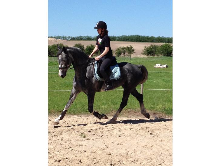 {{currentPhoto.altText}} billede {{currentPhoto.number}}