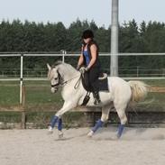 Anden særlig race Madonna *Solgt*