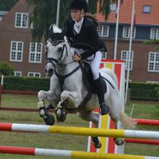 Tysk Sportspony Maidens Blush