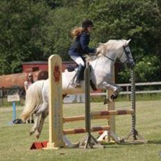 Anden særlig race Svanemark's Mille