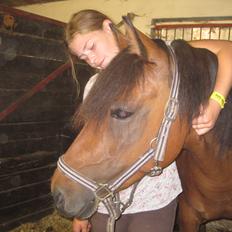Anden særlig race Fiona mega sød pony<3<3