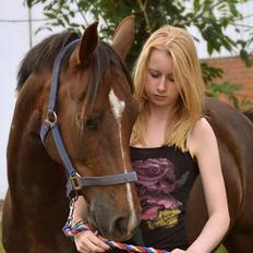 DSP Bæklunds Corvet