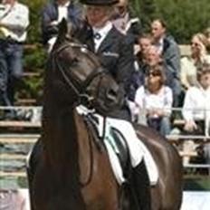 Dansk Varmblod Treldegårds Shantiana