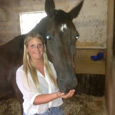 Dansk Varmblod Treldegårds Shantiana