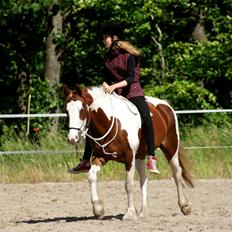 Pinto Tinker blanding Ronja "Ponyen med pletter"