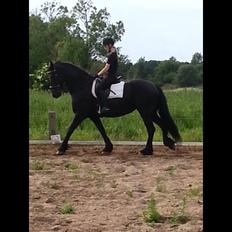 Frieser Tutsje Utt Foersum