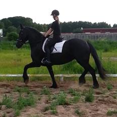 Frieser Tutsje Utt Foersum