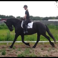 Frieser Tutsje Utt Foersum