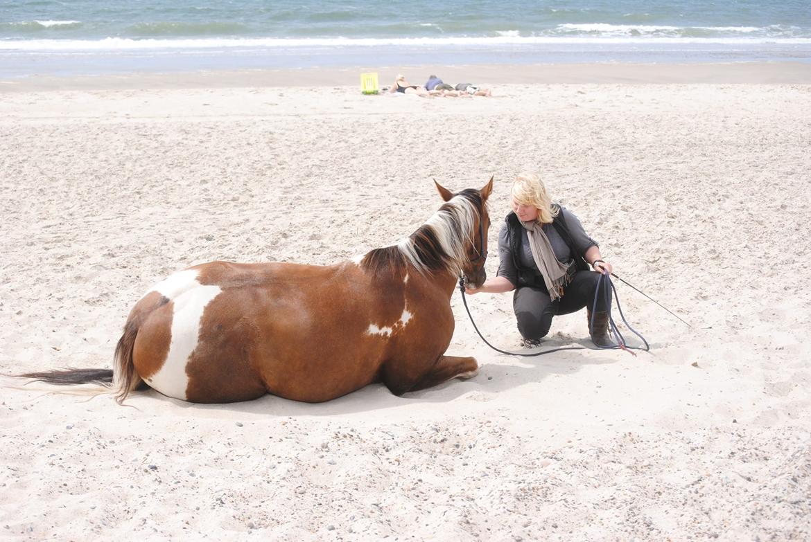 Paint Wall Street Jazz - Jazz ligger ned på stranden :) billede 4