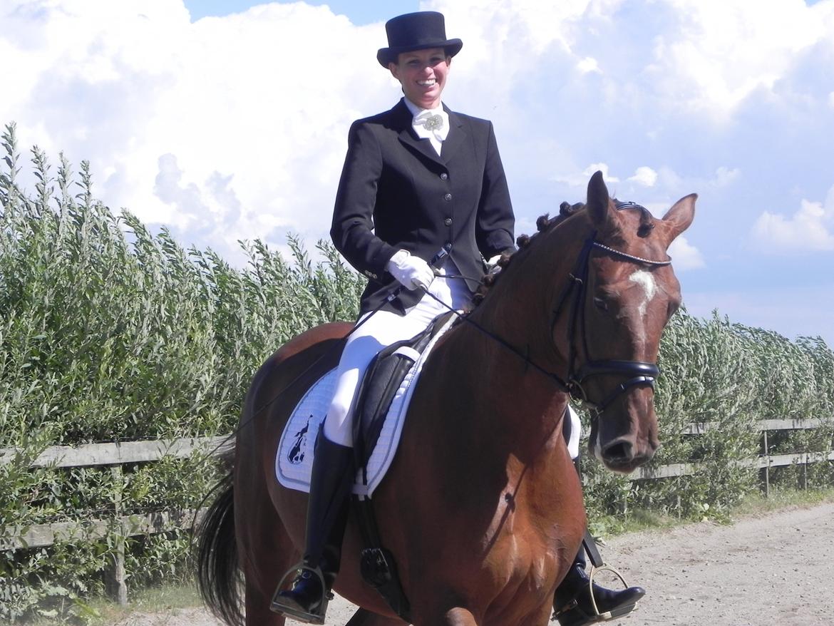 Dansk Varmblod Ça va? - Puha... Varm dag og lidt slem hest :p billede 21