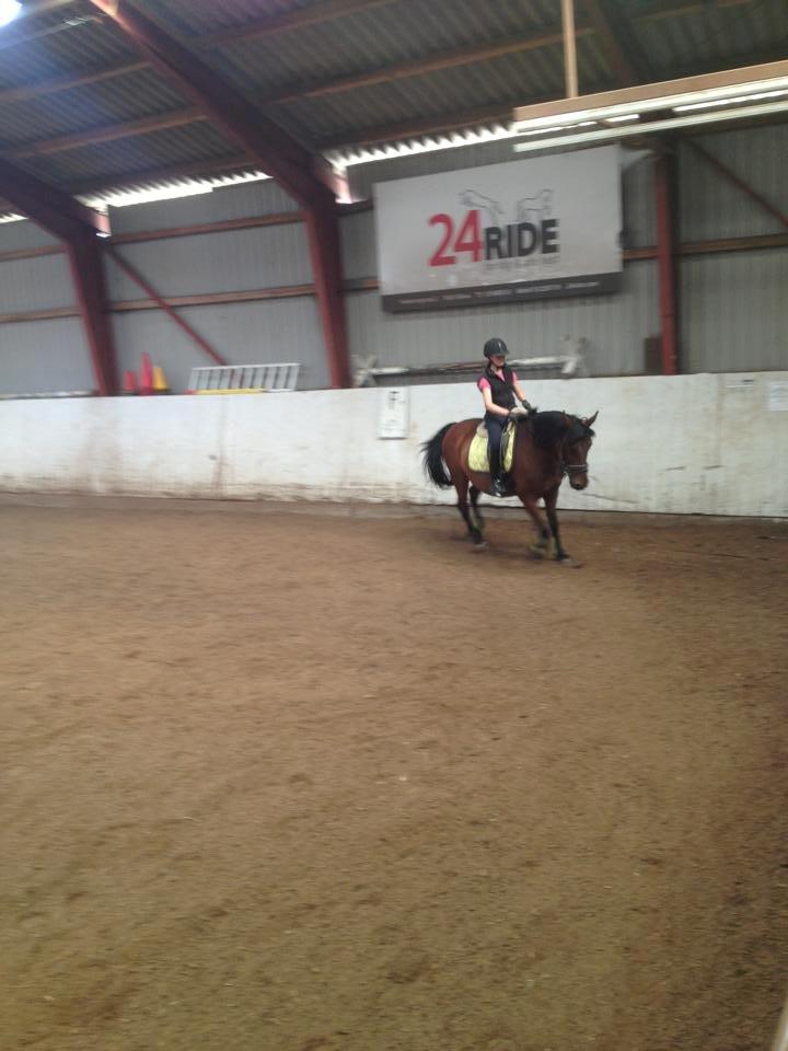 Anden særlig race Laura - Ridning. :) billede 4