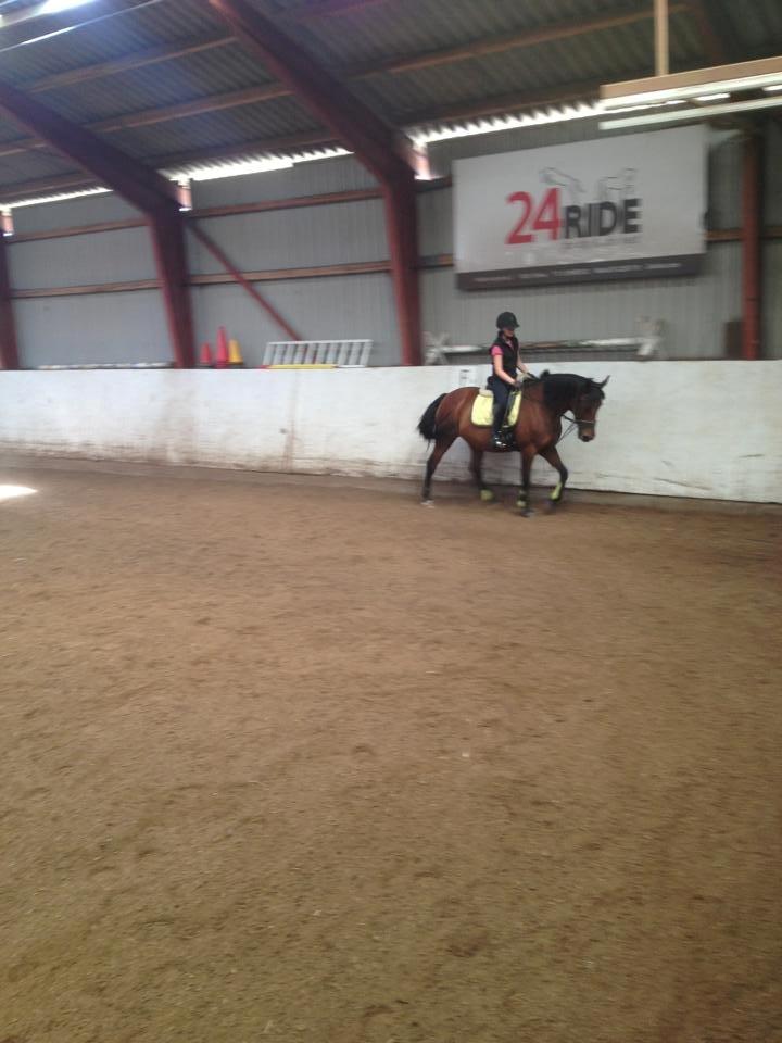 Anden særlig race Laura - <3 billede 7