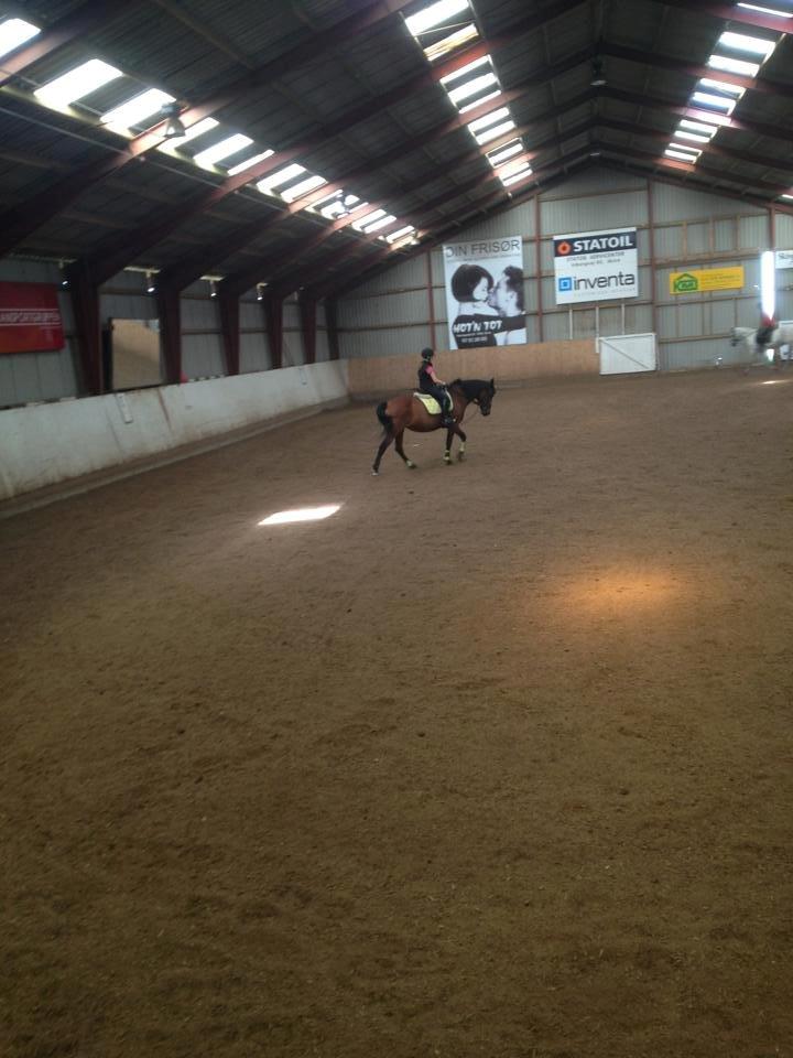 Anden særlig race Laura - Ridning :) billede 8