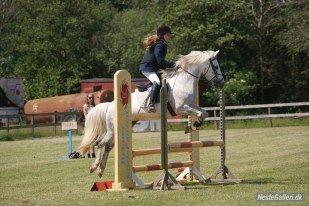 Anden særlig race Svanemark's Mille - You make me happy, when skies are grey billede 2